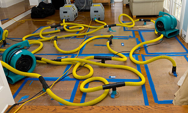Professional Water Damage Repair technician working in Lambert Lake, ME